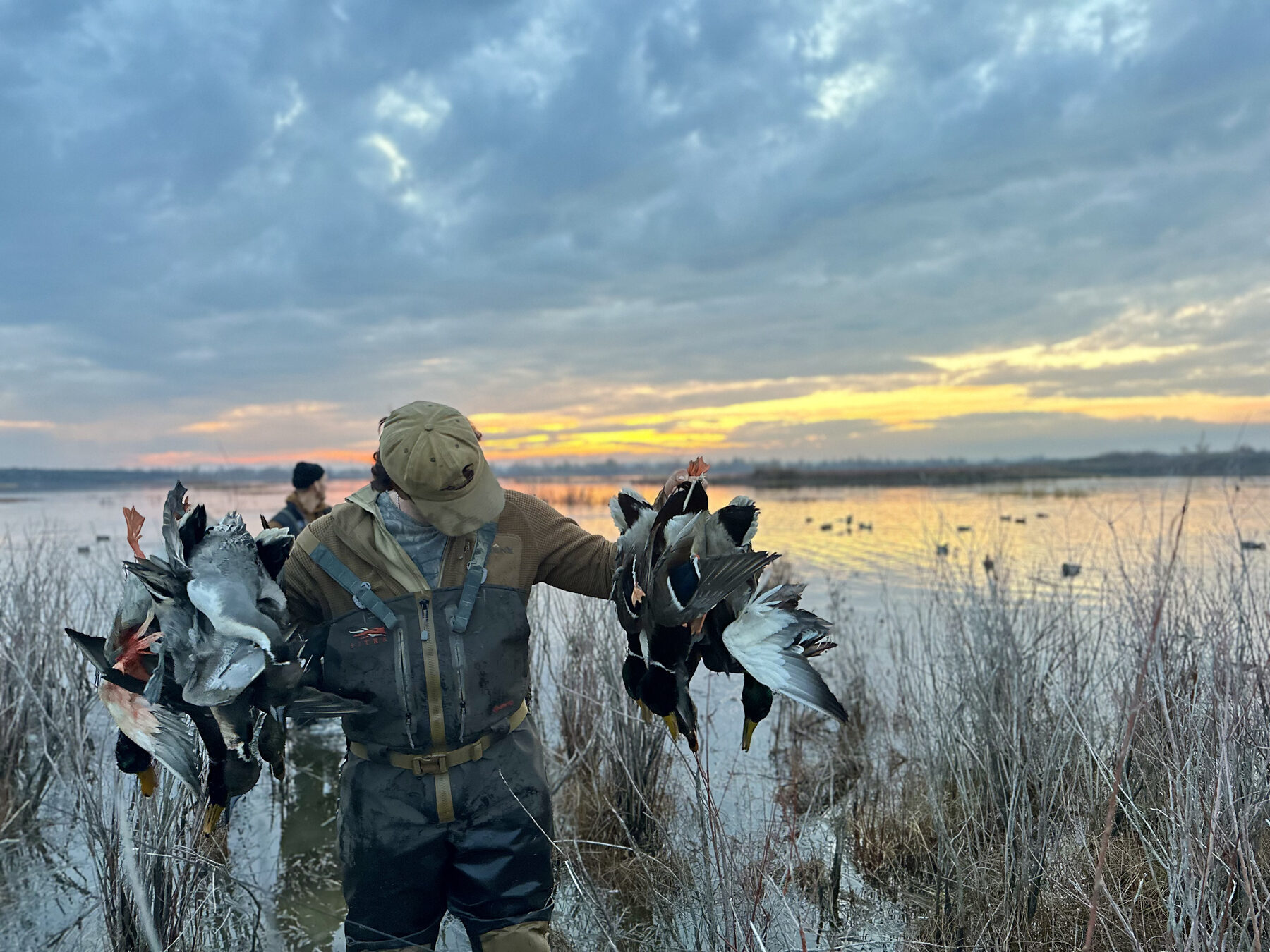 Hunter holding a strap of mallards at marsh sunrise