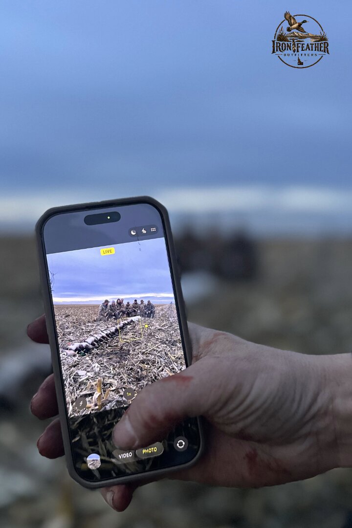 Phoenix filming a live photo of the group in the field