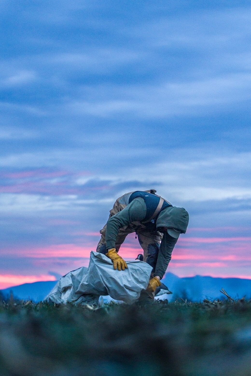 Hunter picking up decoys at dusk after a hunt