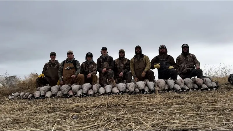 Hunters seated behind a long line of Canada geese