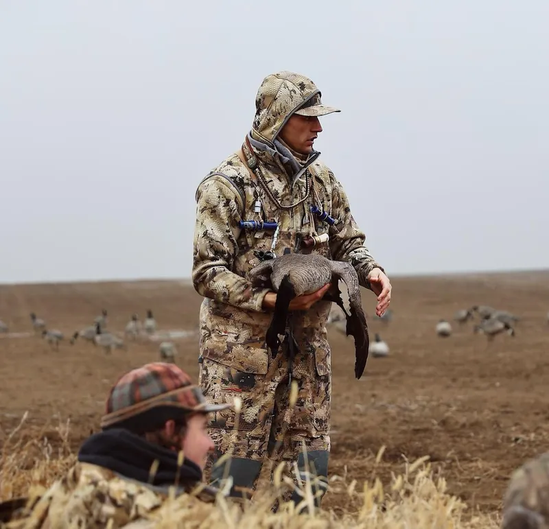 Phoenix carrying a goose with Canada goose decoys behind him