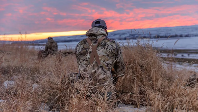 Phoenix crouched in golden grass at sunset with a hunting partner behind him