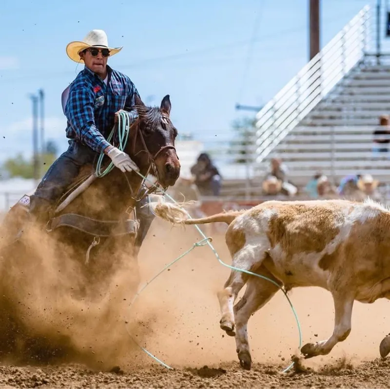 Phoenix roping a calf in a cloud of arena dust