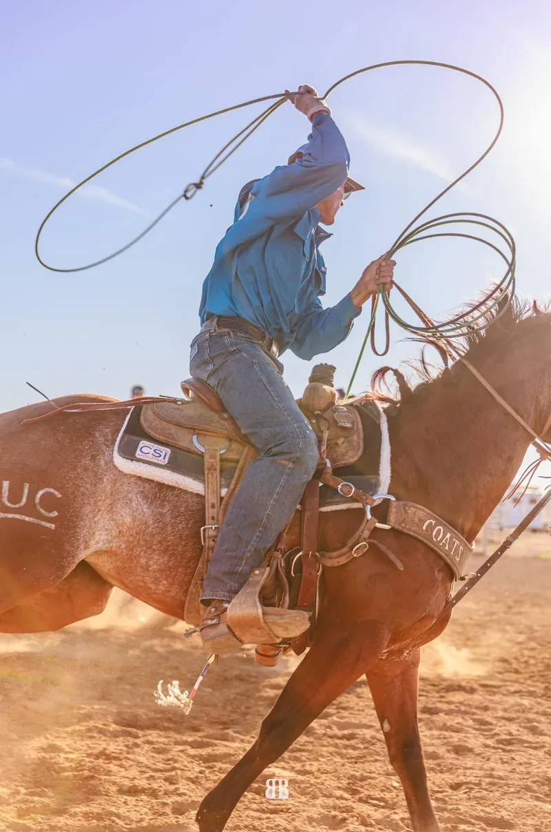 Phoenix swinging a rope from horseback in the arena at sunset