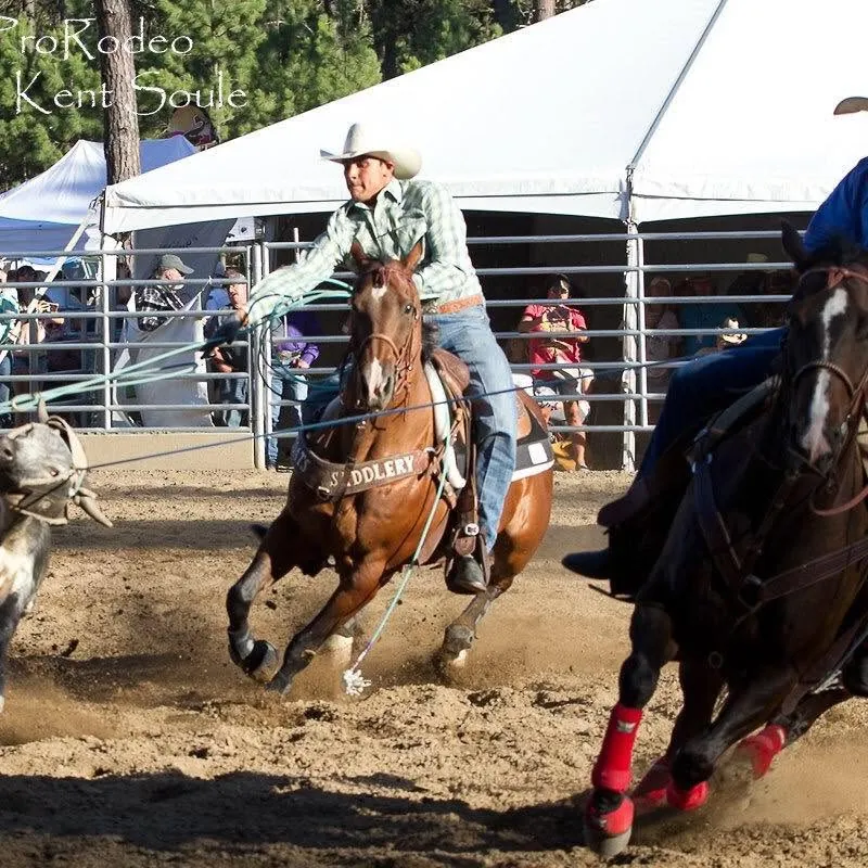Phoenix team roping from a brown horse